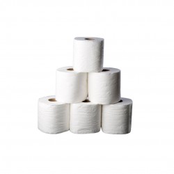 40 x Luxury Toilet Rolls 160 SHEETS